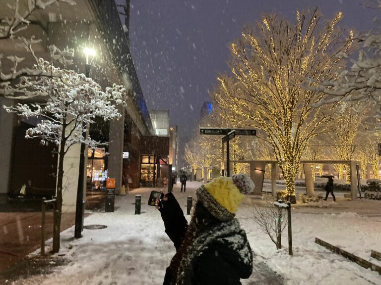 January 2022, Snow at Kashiwa-no-ha station area; Tetra taking photos