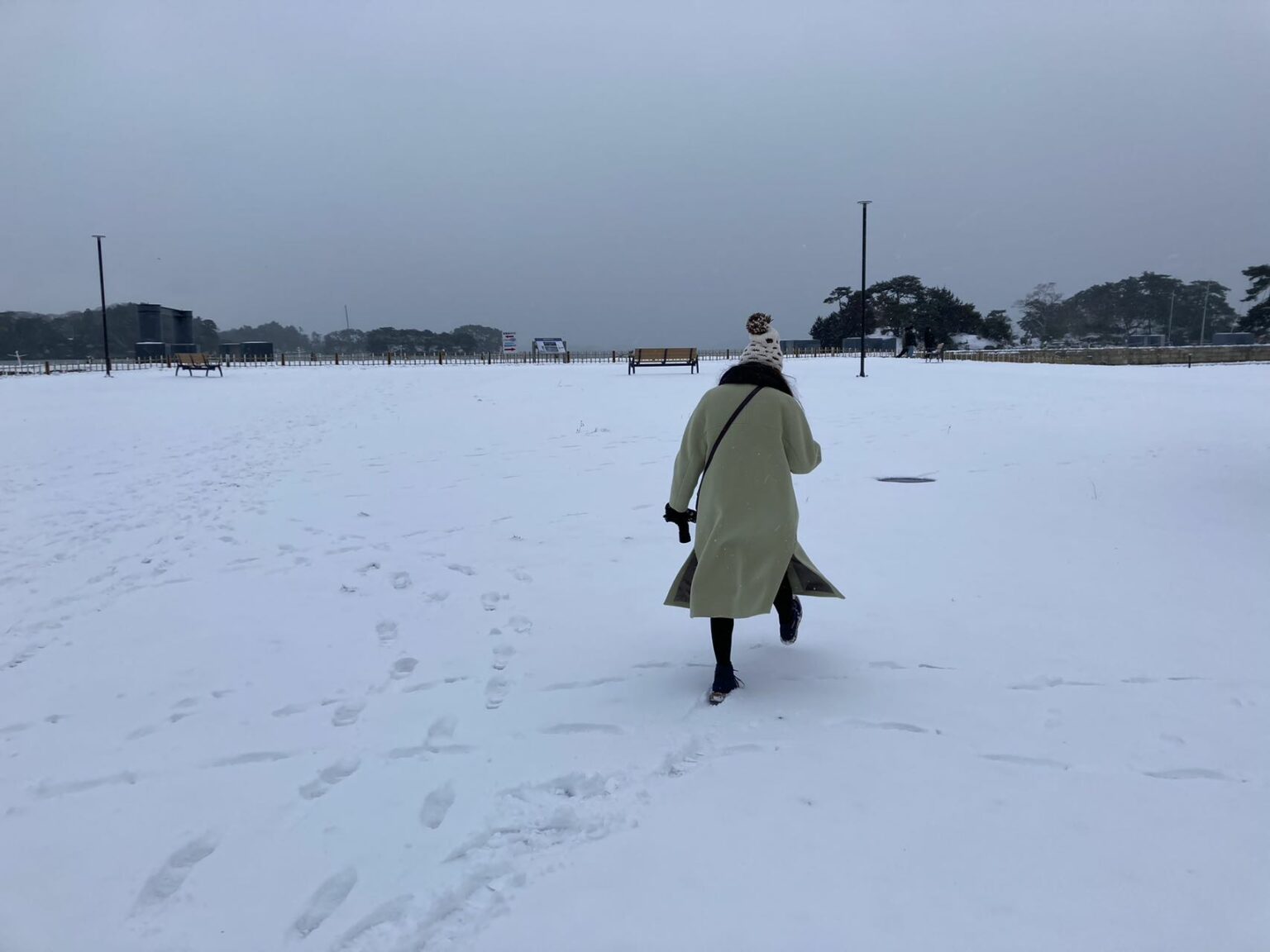 February 2022 in Matsushima, Miyagi; Tetra walking on a huge snow field